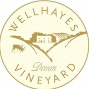 Wellhayes Vineyard 